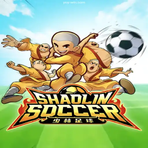 Enter the Action-Packed World of ShaolinSoccer